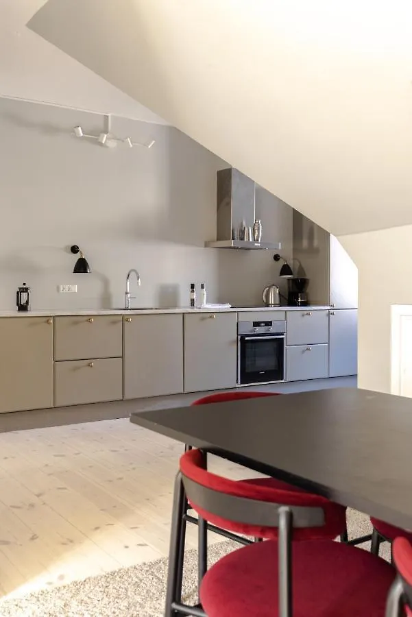 Luxury Apartment W Privat Rooftop Terrace - Cph C Kopenhagen Denemarken
